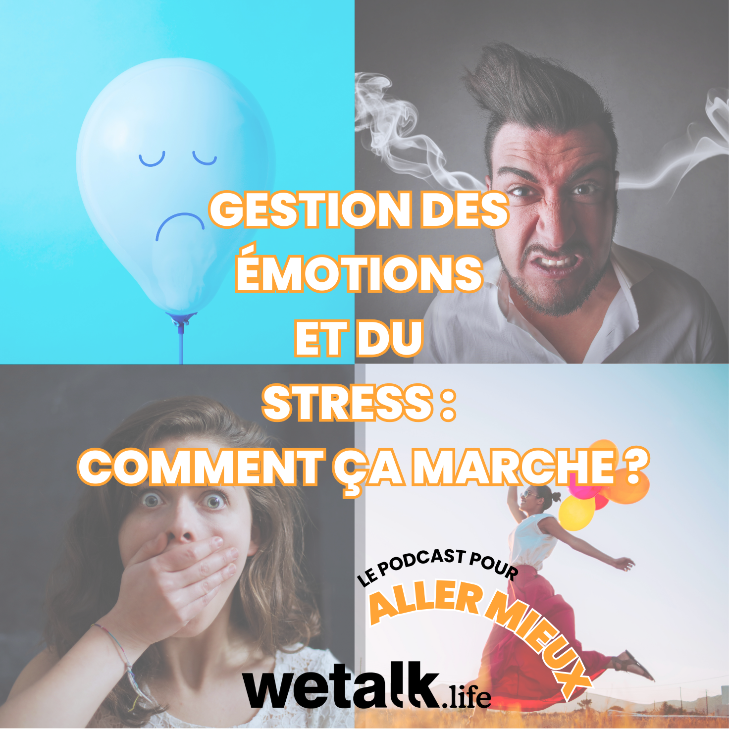 Et si vos émotions devenaient vos meilleures alliées ?