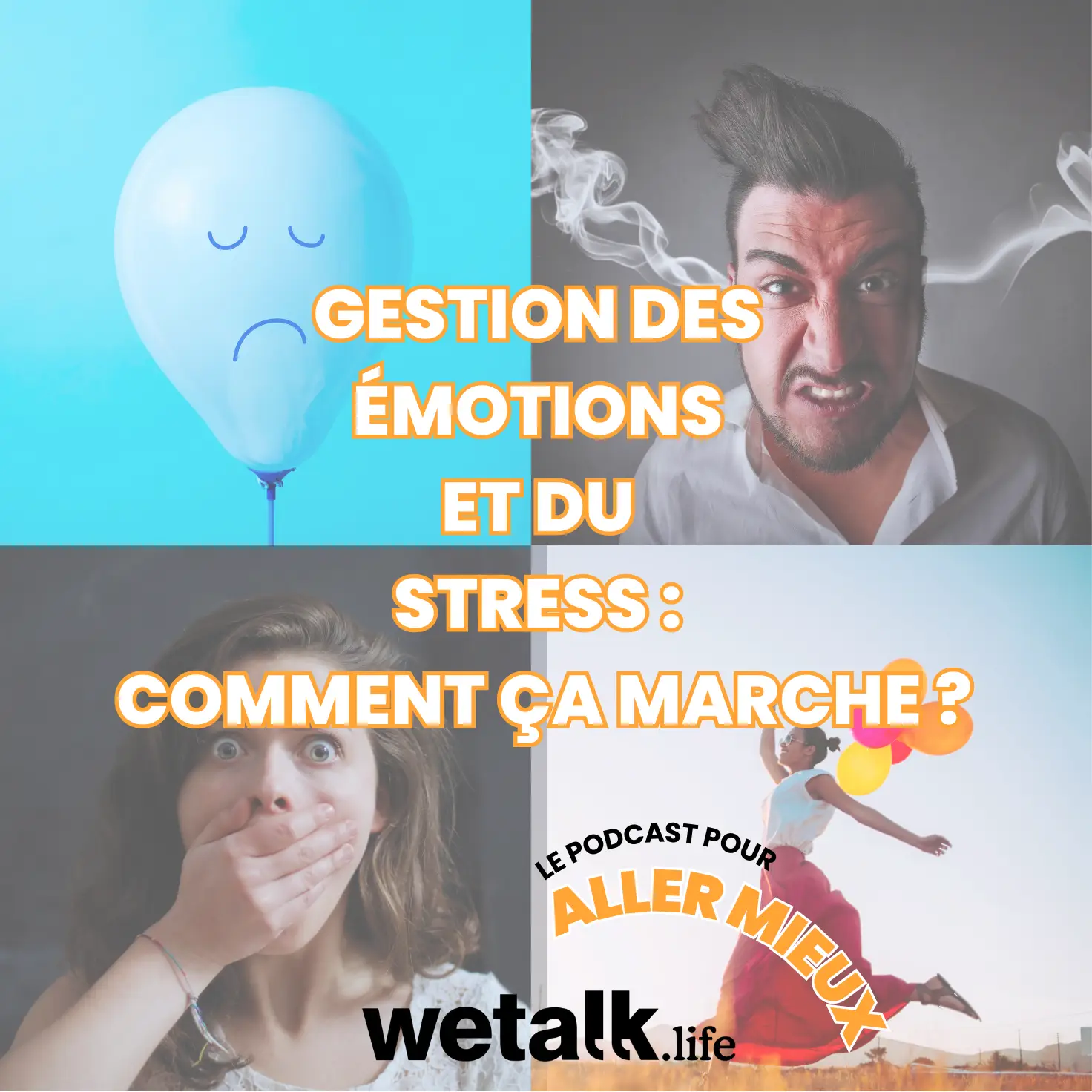 Et si vos émotions devenaient vos meilleures alliées ?