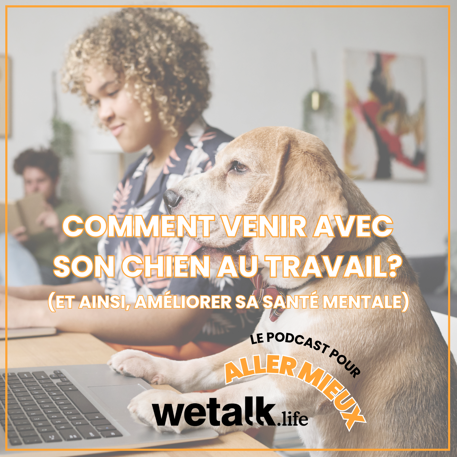 Chien au travail : améliorer le bien-être en entreprise